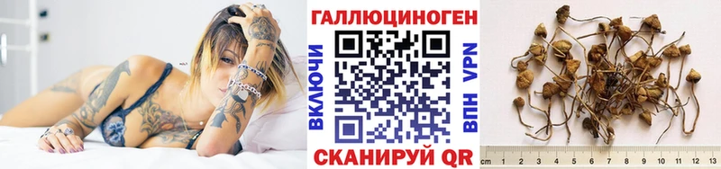 Псилоцибиновые грибы GOLDEN TEACHER Вязьма
