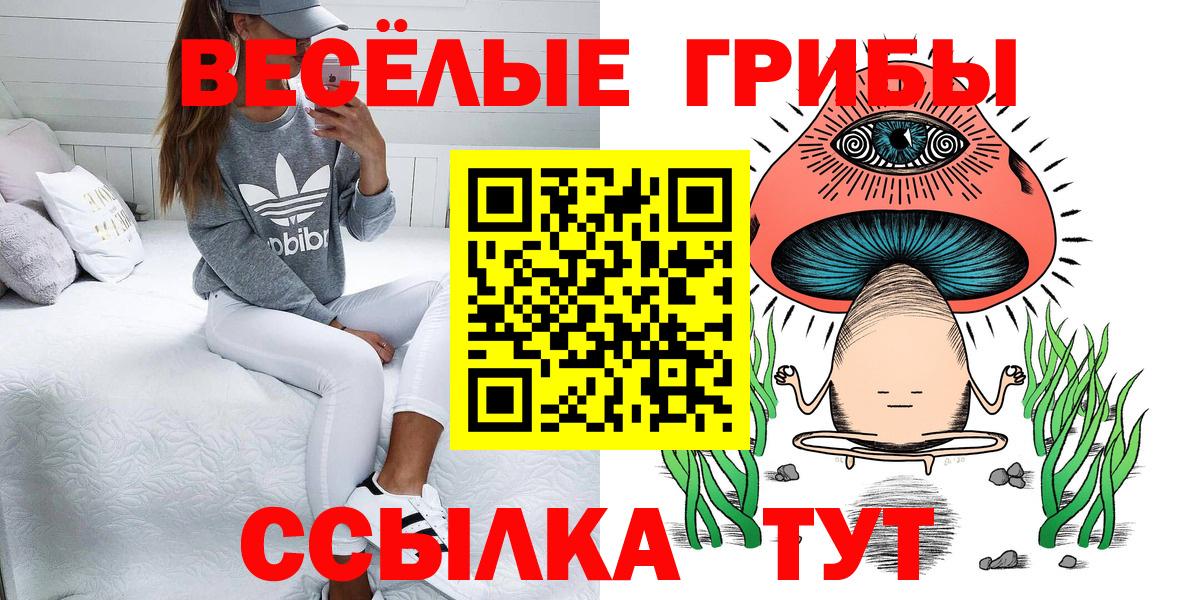 Вязьма  Псилоцибиновые грибы мухоморы  Вход с VPN 