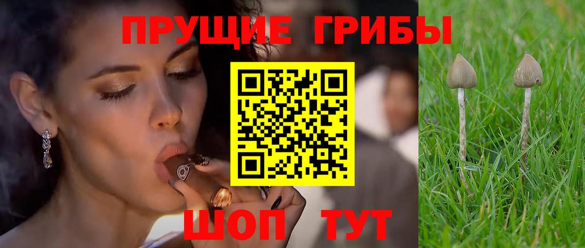 Галлюциногенные грибы GOLDEN TEACHER  Вязьма  Галлюциногенные грибы MAGIC MUSHROOMS 